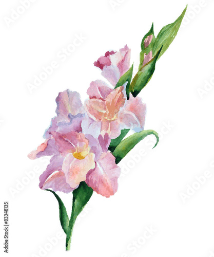 Fotografia, Obraz gladiolus flowers watercolor