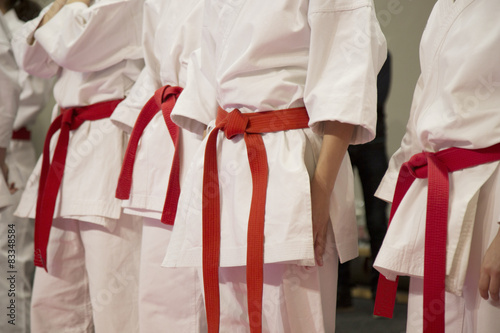 Karate sportsmen with red belts