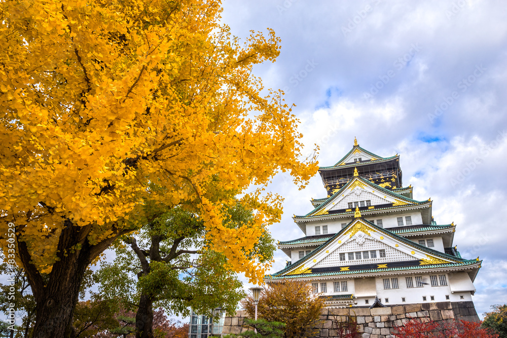 Osaka Castle in Osaka, Japan.