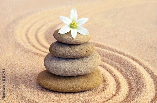 Photography Stone balance and flower on the sand