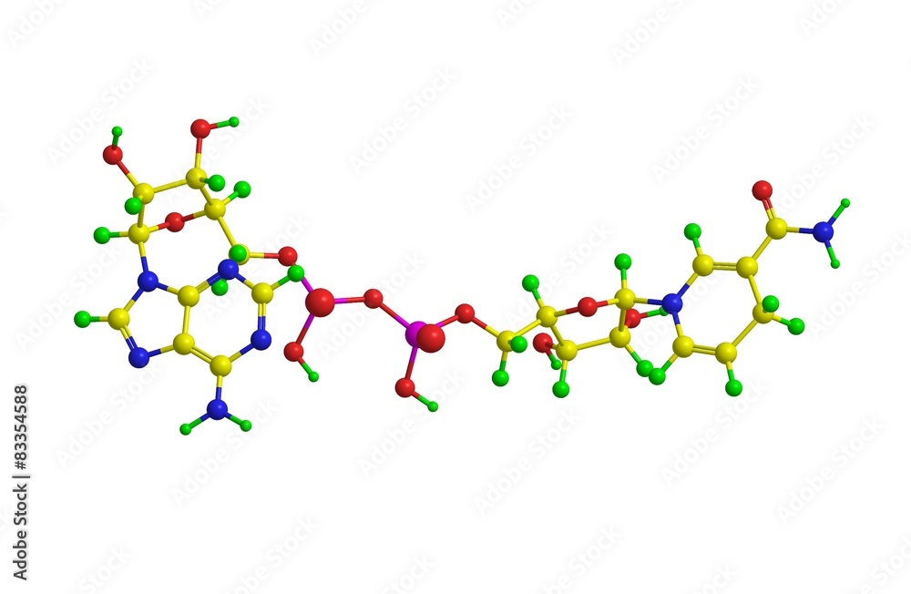 Molecular structure of NADH Stock Illustration | Adobe Stock