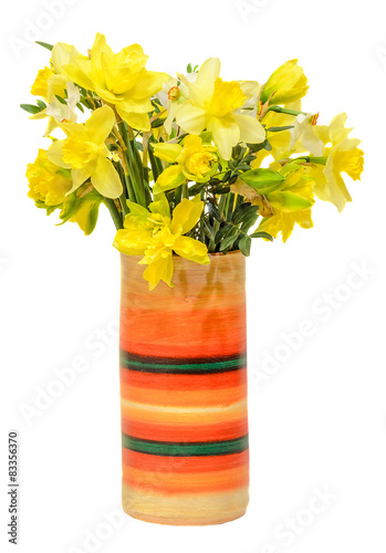 Yellow daffodils, narcissus flower, colored vase.