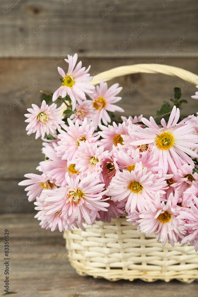 Lilac chrysanthemums in basket on grey wooden background