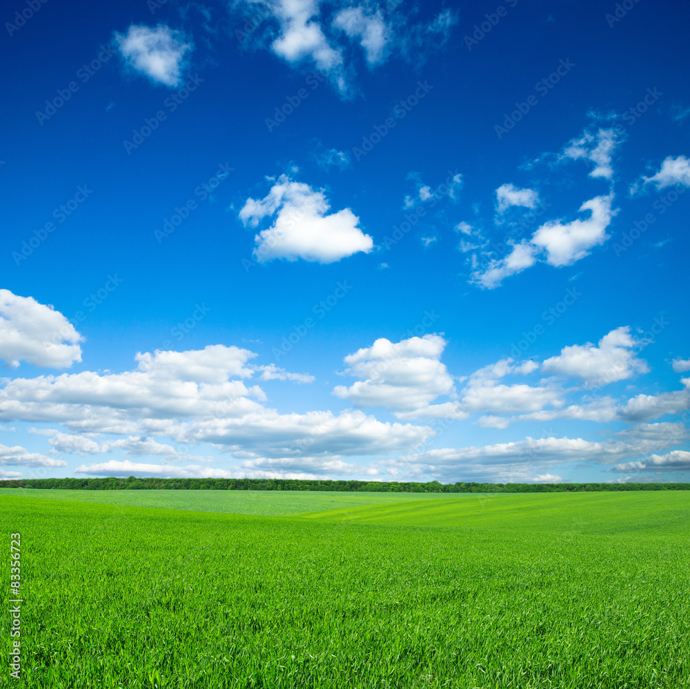 green field green field