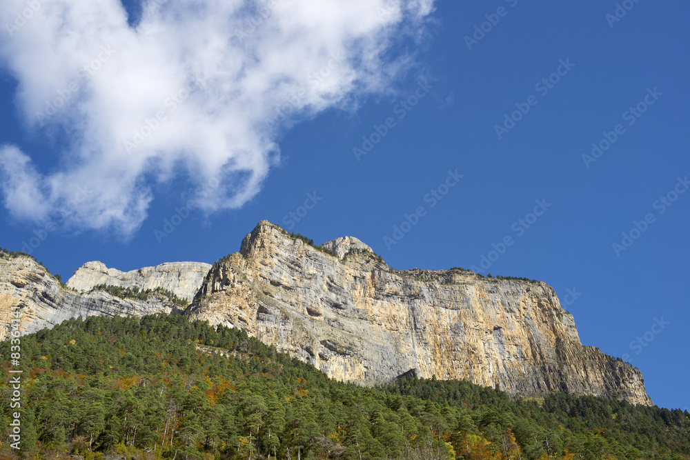 Pyrenees