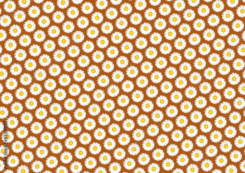 PAPATYA PATTERN001