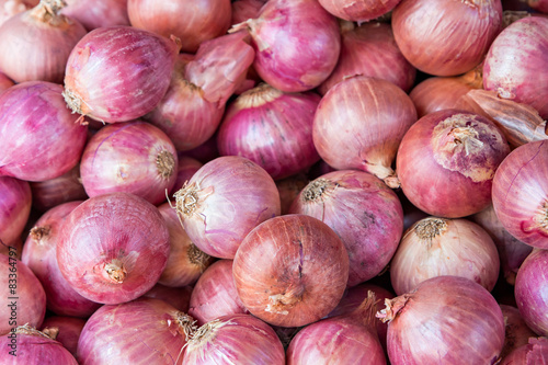 Red or purple onions