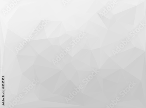 Fototapeta Naklejka Na Ścianę i Meble -  Gray White  Polygonal Mosaic Background, Vector illustration