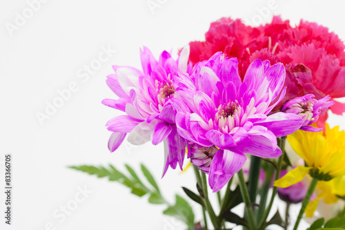 Colorful flower bouquet arrangement  on white background