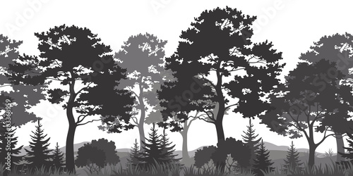Seamless Background, Summer Forest Silhouettes