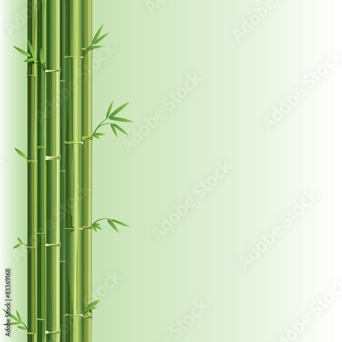 Bamboo vector design element.