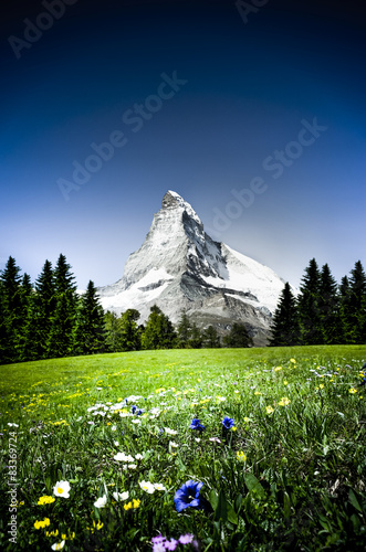 Matterhorn mit Enzian