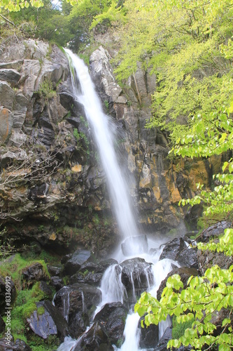 Fototapeta Naklejka Na Ścianę i Meble -  cascade du devez/2015