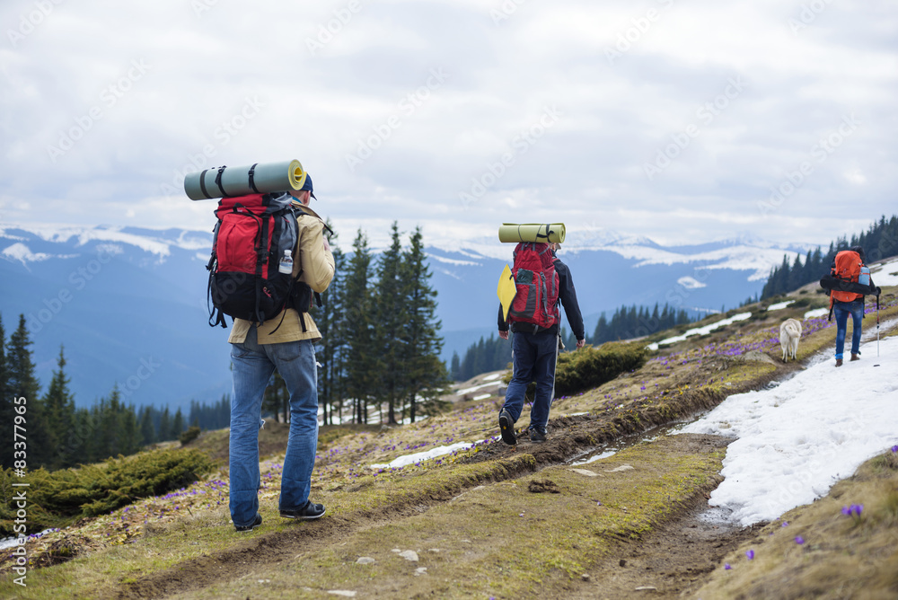 group of people hiking in mountains