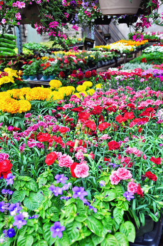 Flower market. Selective focus.