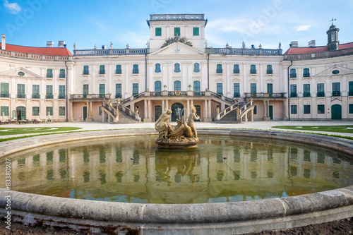 Vászonkép Esterhazy Castle and the fountain