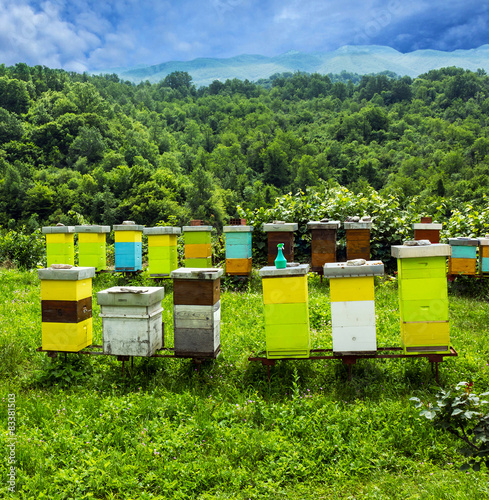 Bee hives on meadow in countryside of Montenegro. © Travel Faery