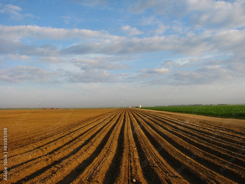 Plowed Agricultural Field