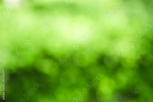 Abstract nature blurred background with bokeh