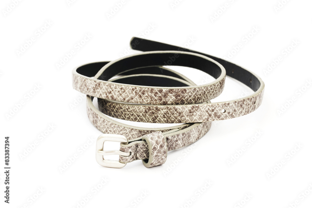 gray fake leather belt, snake pattern, on white background gray fake leather belt, snake pattern, on white background
