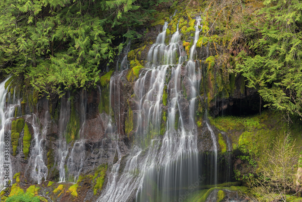 Naklejka premium Panther Creek Falls
