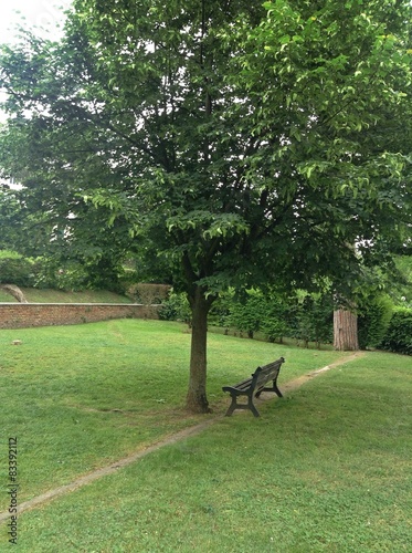 panchina sotto un albero