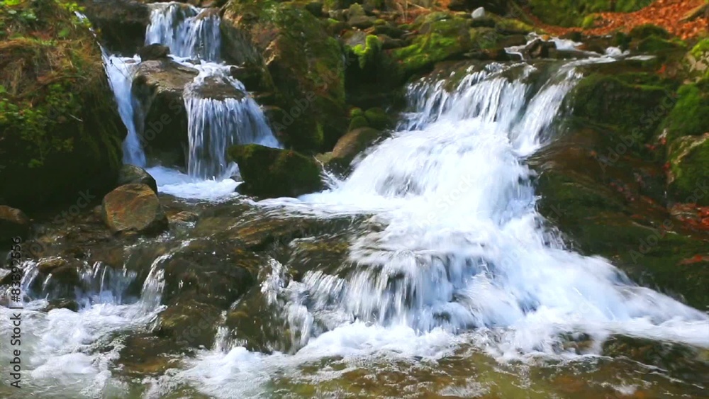 River running through forest River running through forest