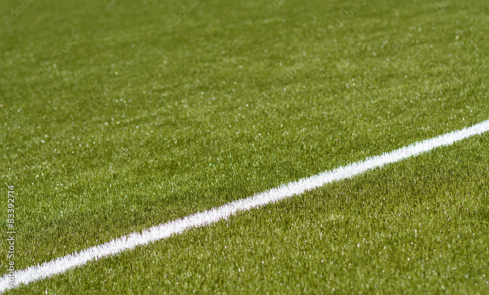 Obraz premium fussballrasen