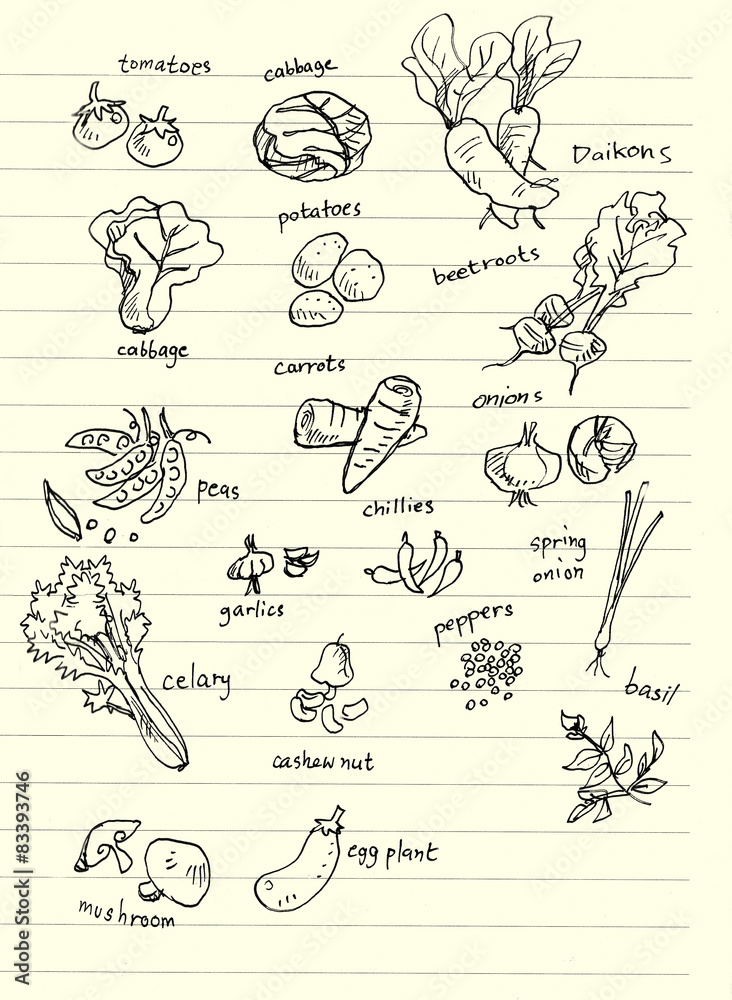 Obraz premium vegetable hand doodle illustration