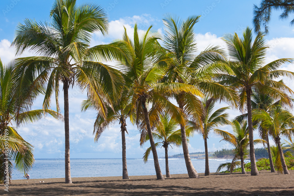 Fototapeta premium cocotiers sur plage de l'Etang-Salé-les-Bains, Réunion 