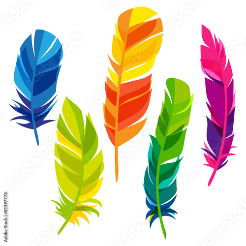 Set of abstract bright transparent feathers on white background