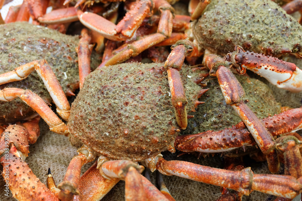 Spider crabs for sale at French provincial market Spider crabs for sale at French provincial market