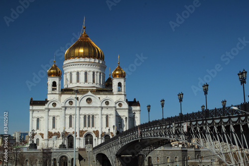 The Cathedral of Christ the Saviour 
