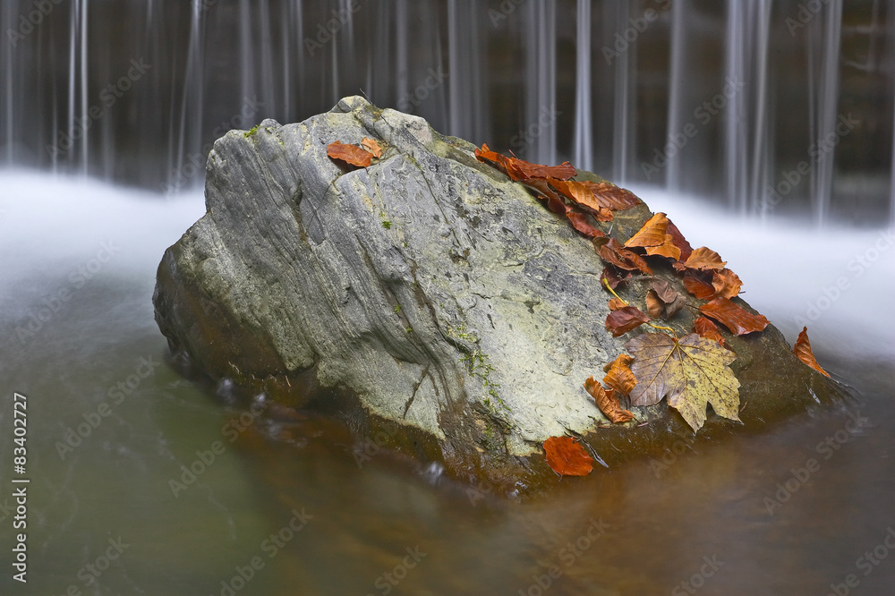 Fototapeta premium Großer Stein im Fluss