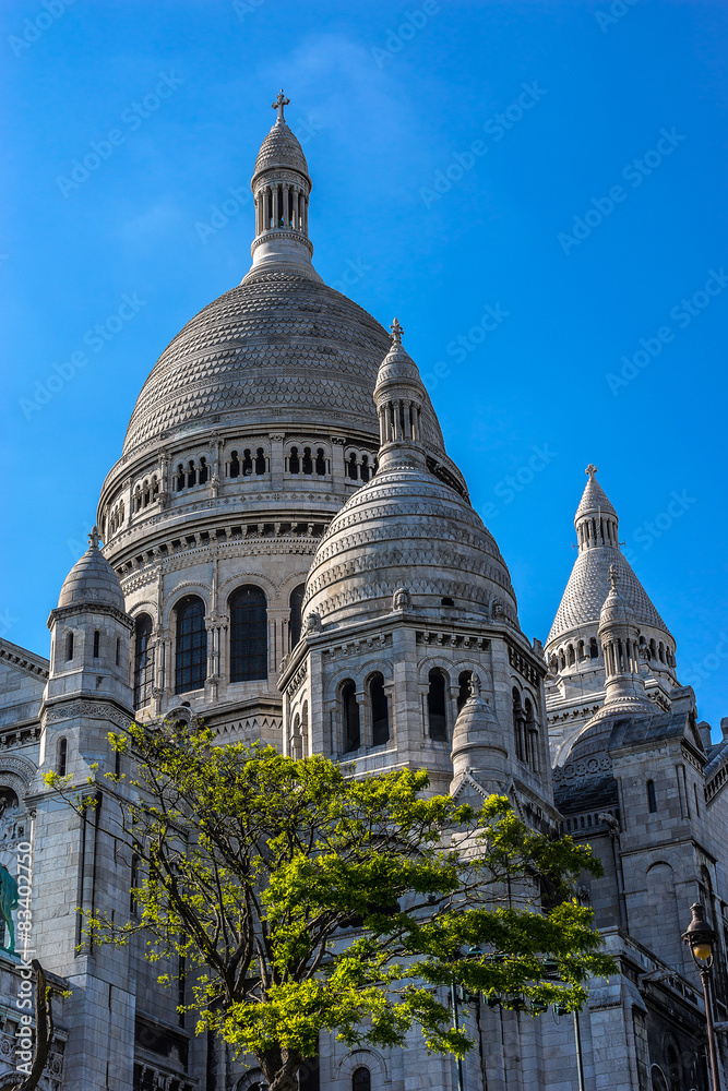 Detail of Basilica Sacre Coeur (designed by Paul Abadie). Paris Detail of Basilica Sacre Coeur (designed by Paul Abadie). Paris