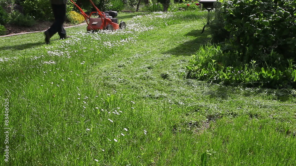 jardinier qui tond