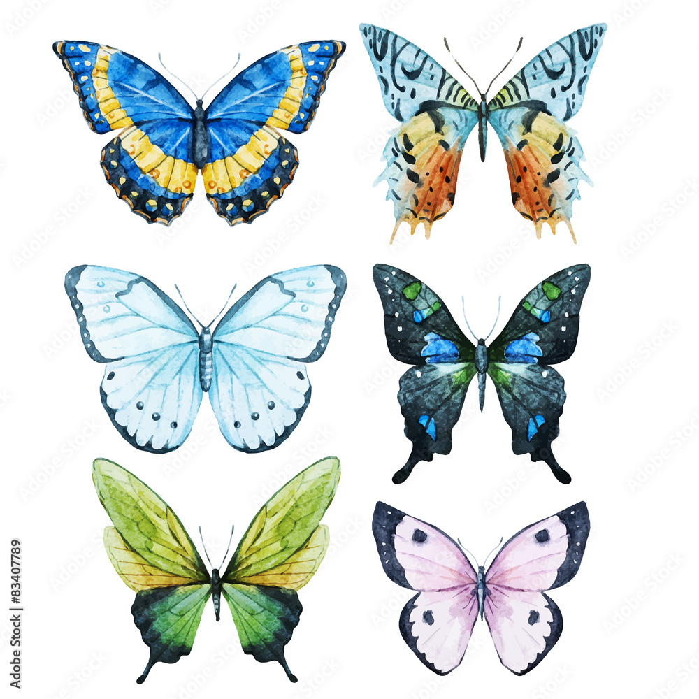 Watercolor butterflies