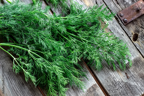 Dill on a wooden table. Style rustic.