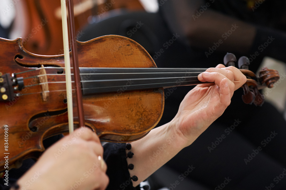 Women Violinist Playing Classical Violin Women Violinist Playing Classical Violin