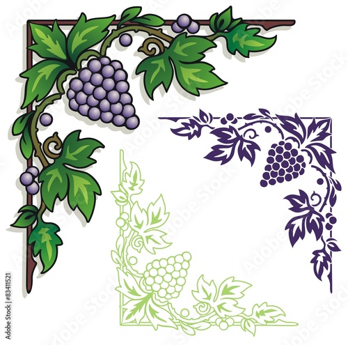 Corner ornament of grapes with leaves and vines