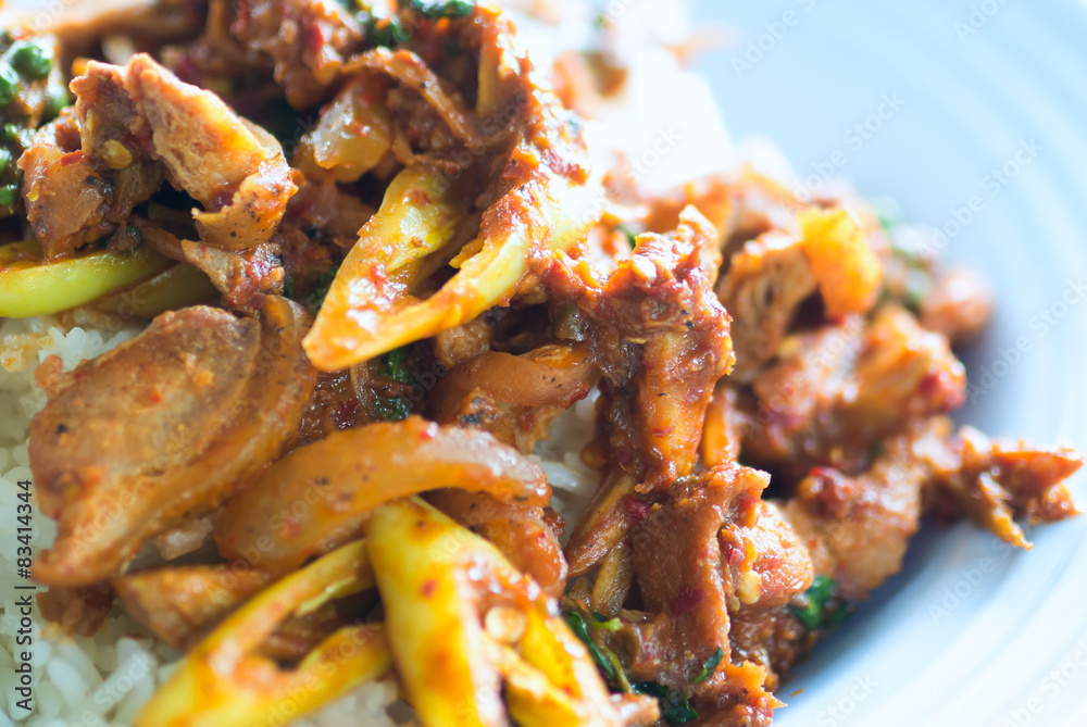 SPICY STIR FRIED PORK WITH RED CURRY SPICY STIR FRIED PORK WITH RED CURRY