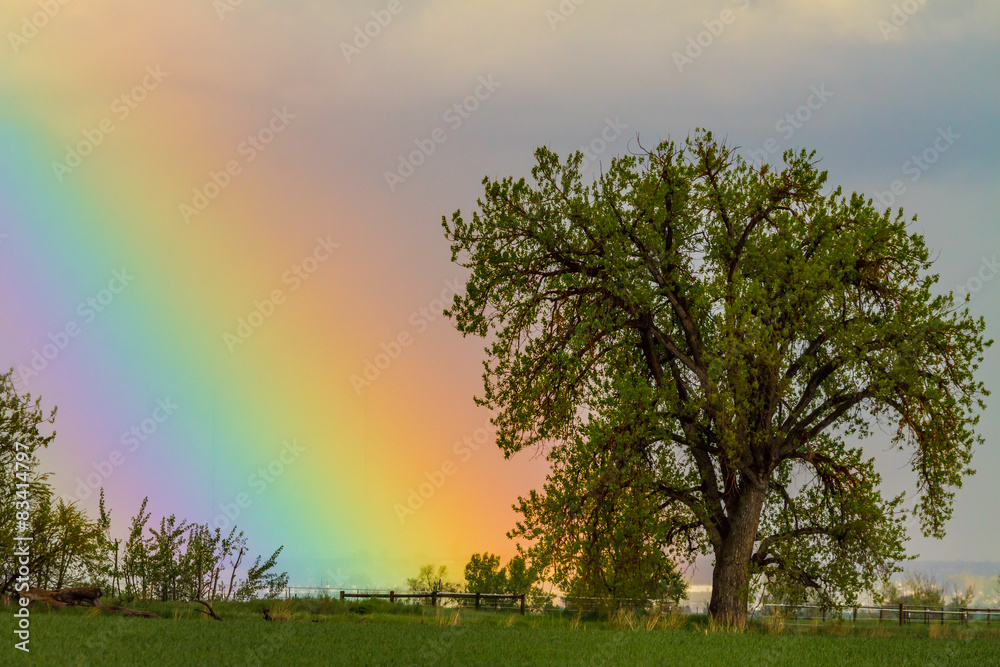 Fototapeta Kolorowy Tęczowy Niebo Optyczne