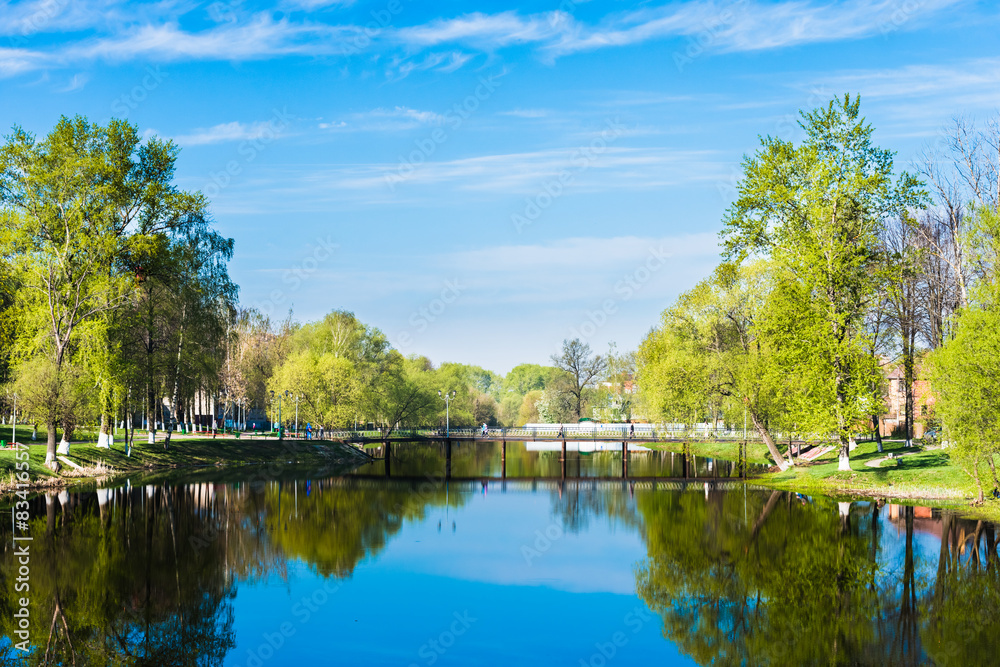 Obraz premium spring landscape