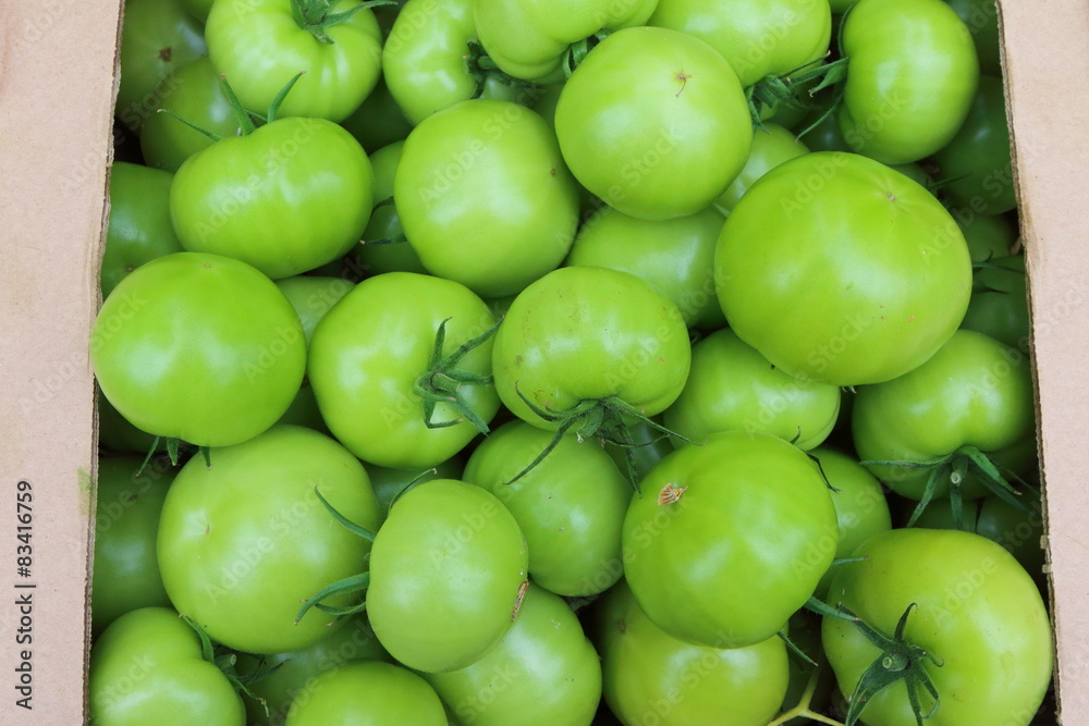 Fresh tomatoes grown in greenhouse packed in the box Fresh tomatoes grown in greenhouse packed in the box