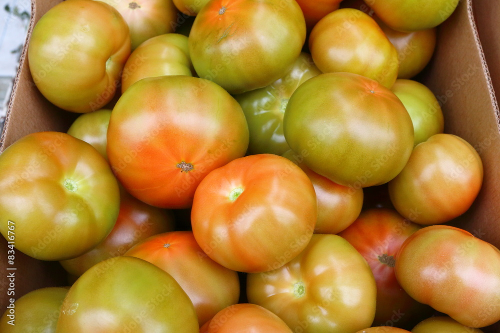 Fresh tomatoes grown in greenhouse packed in the box Fresh tomatoes grown in greenhouse packed in the box