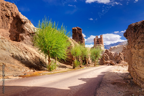 Ruins at Basgo Monastery