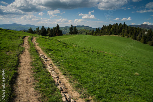 Rural trekking road in polish mointains