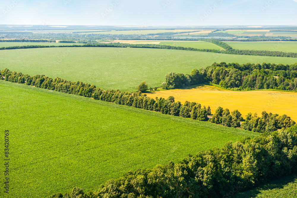 Green and yellow fields from above aerial view