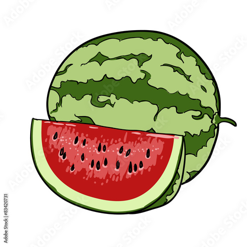 watermelon hand drawn fruits isolated vector