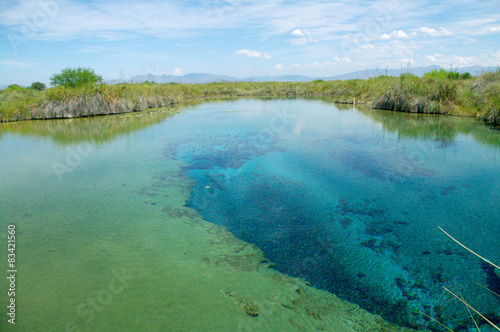Cuatro Cienegas eau turquoise